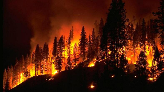 消防知識 丨 5種火災不能用水撲救，你知道嗎？